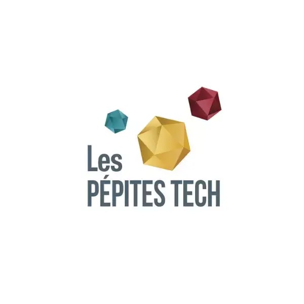 portage salarial - weepo - lespepitestech